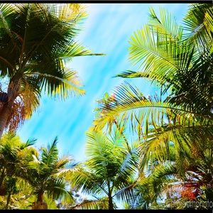 Meet your Posher, Chelsea